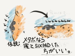 SIXPAD(シックスパッド)を購入。Abs Fit はメタボ腹にも効くのか?(その2)