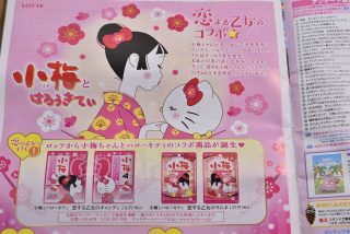【株主優待】 サンリオから2017年3月末権利分の株主優待品が届きました。