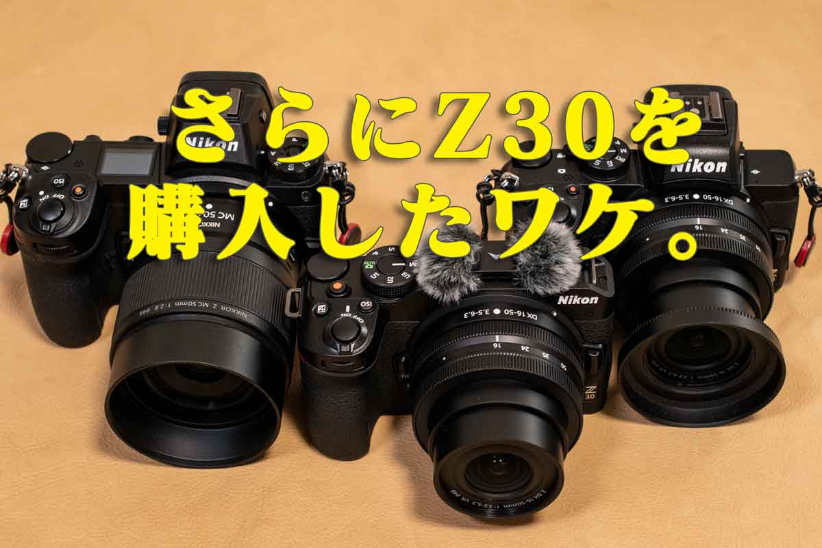 ニコンのVLOG向けカメラZ30を購入！Z50、Z6 を保有する僕がZ30を追加購入した理由と実機を手にした感想。 - モノ好き。ブログ