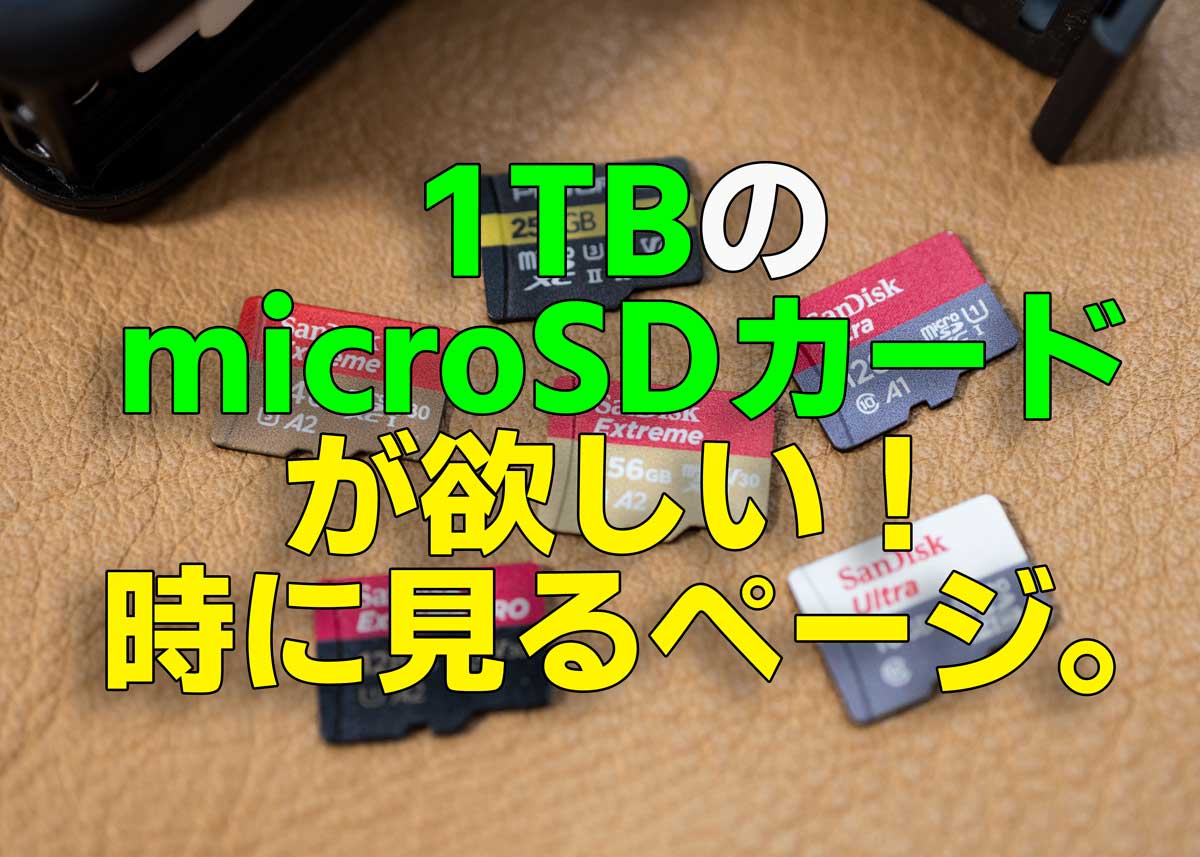 1TBのmicroSDカードが欲しい！ROG Ally用、ゲームプログラム格納用 