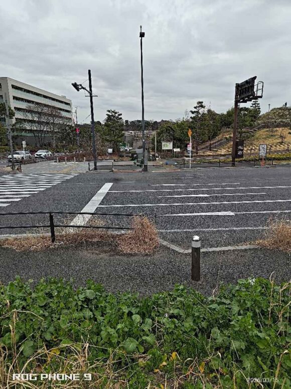 [スマート消去]の実施例。しっかり車が消えている