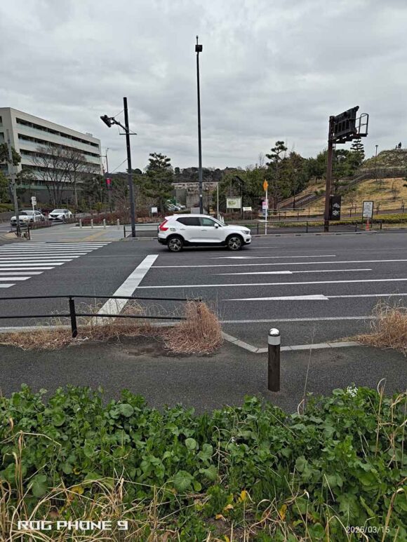 [スマート消去]の実施前の画像