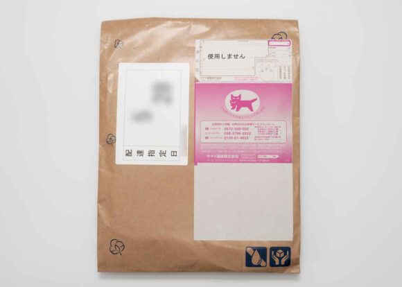 インティー2枚組は宅急便で届きました