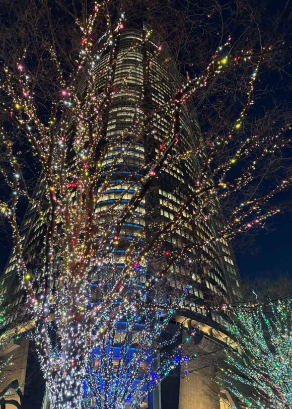イルミの後ろに六本木ヒルズ森タワー