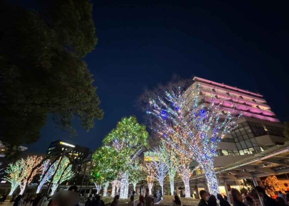 六本木ヒルズのイルミネーションが美しい！